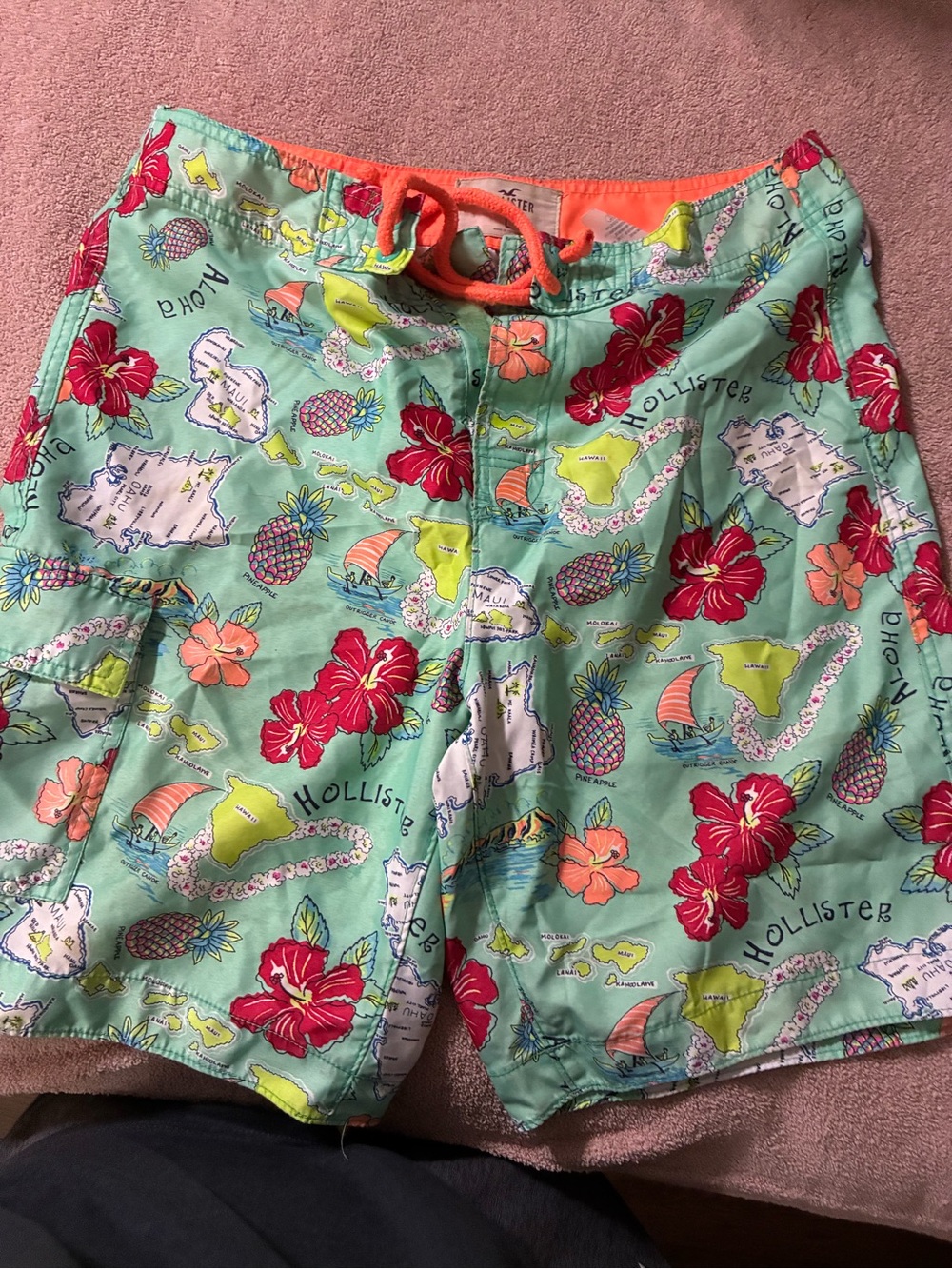 Hollister Men's Swim Board Shorts